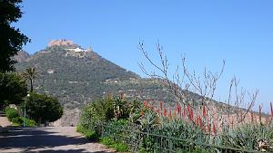 ORAN MARS 2012 85 promenade  de Letang